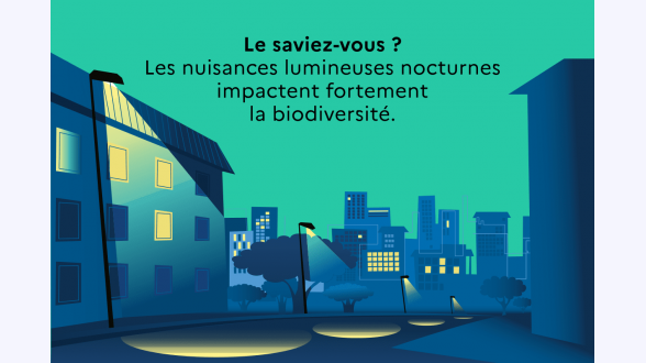 Dans un paysage naturel, des personnages plantent des arbres et prennent soin de la nature. À gauche, deux personnages tiennent un trophée, lauréat des trophées de l'adaptation au changement climatique. Dans le ciel jaune pâle est écrit: «Avec les Solutions fondées sur la Nature, adaptation au changement climatique et protection de la biodiversité font cause commune.»