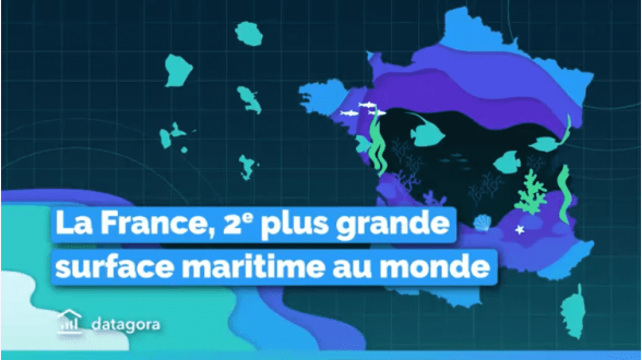 {{Carte présentant la progression du front d'expansion de la chenille processionnaire entre 1969 et 2016}} Présentation des territoires colonisés entre 1969 et 1979, à l'hiver 2005-2006, à l'hiver 2010-2011 et à l'hiver 2015-2016. Arrivées par le Sud-Ouest en 1969, les chenilles processionnaires ont rapidement envahit la Nouvelle-Aquitaine et la frange méditerranéenne durant la première décennie. Depuis, leur progression vers les régions septentrionales est plus lente. Néanmoins, depuis l'hiver 2015-2016, elles ont franchi la Loire pour se retrouver aux portes du bassin parisien. <I>Source~: J.F. Abgrall (Cemagref), URZF – Inrae. Traitement~: Inrae. Fonds cartographiques : OFB, Inrae</I>